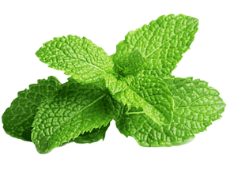 Peppermint oil